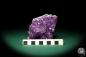 Preview: Amethyste XX (19908) a mineral from Brazil | Minerals | Global