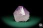 Preview: Amethyste XX (19920) a mineral from Brazil | Minerals | Global