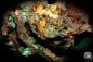 Preview: Malachite XX in Limonite (19926) a mineral from Russia | Minerals | Global