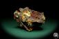 Preview: Malachite XX in Limonite (19926) a mineral from Russia | Minerals | Global