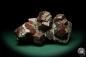 Preview: Almandine XX (19965) a mineral from Austria | Minerals | Global