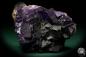 Preview: Fluorite XX (19984) a mineral from Mexico | Minerals | Global