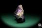 Preview: Fluorite XX (19984) a mineral from Mexico | Minerals | Global