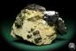 Preview: Wolframite XX with Rhodochrosite XX & Pyrite XX & Fluorite XX (19995) a mineral from Kazakhstan | Minerals | Global