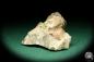 Preview: Rock crystal XX with Orthoclase XX (19999) a mineral from Germany | Minerals | From Germany