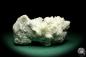 Preview: Zeolites XX (20006) a mineral from Russia | Minerals | Global