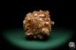 Preview: Aragonite XX (20023) a mineral from Morocco | Minerals | Global