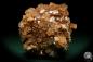 Preview: Aragonite XX (20023) a mineral from Morocco | Minerals | Global