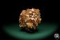 Preview: Aragonite XX (20023) a mineral from Morocco | Minerals | Global