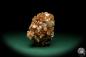 Preview: Aragonite XX (20023) a mineral from Morocco | Minerals | Global