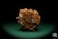 Preview: Aragonite XX (20023) a mineral from Morocco | Minerals | Global