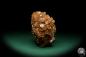 Preview: Aragonite XX (20023) a mineral from Morocco | Minerals | Global