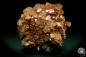 Preview: Aragonite XX a mineral