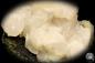 Preview: Calcite XX (20024) a mineral from Russia | Minerals | Global