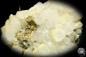 Preview: Quartz XX with Pyrite XX (20027) a mineral from Romania | Minerals | Global