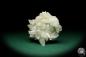 Preview: Calcite XX (20108) a mineral from Spain | Minerals | Global