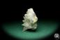 Preview: Calcite XX (20108) a mineral from Spain | Minerals | Global