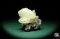 Preview: Galena XX & Calcite XX (20132) a mineral from USA | Minerals | Global