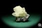 Preview: Galena XX & Calcite XX (20132) a mineral from USA | Minerals | Global