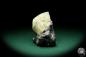 Preview: Galena XX & Calcite XX (20132) a mineral from USA | Minerals | Global