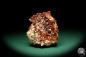 Preview: Vanadinite XX (20134) a mineral from Morocco | Minerals | Global