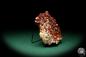 Preview: Vanadinite XX (20134) a mineral from Morocco | Minerals | Global