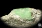 Preview: Emerald XX (20138) a mineral from Russia | Minerals | Global