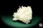 Preview: Aragonite XX (20142) a mineral from Greece | Minerals | Global