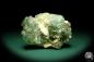 Preview: Fluorite XX & Quartz XX (20145) a mineral from Kazakhstan | Minerals | Global