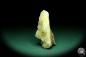 Preview: Prehnite XX (20147) a mineral from Czech Republic | Minerals | Global