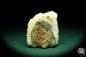 Preview: Prehnite XX (20147) a mineral from Czech Republic | Minerals | Global