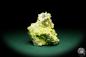 Preview: Sulphur XX and Celestine XX (20149) a mineral from Poland | Minerals | Global