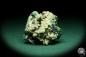 Preview: Cerussite XX with Malachite and Azurite XX (20165) a mineral from Namibia | Minerals | Global