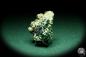 Preview: Cerussite XX with Malachite and Azurite XX (20165) a mineral from Namibia | Minerals | Global