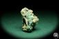 Preview: Cerussite XX with Malachite and Azurite XX (20165) a mineral from Namibia | Minerals | Global