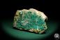 Preview: Dioptase XX (20182) a mineral from Kazakhstan | Minerals | Global