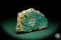 Preview: Dioptase XX (20182) a mineral from Kazakhstan | Minerals | Global