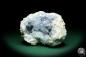 Preview: Celestine XX (20200) a mineral from Madagascar | Minerals | Global