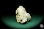 Preview: Calcite XX with gypsum XX (20201) a mineral from Romania | Minerals | Global