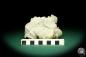 Preview: Calcite XX with gypsum XX (20201) a mineral from Romania | Minerals | Global