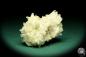 Preview: Celestine XX on Sulfur (20223) a mineral from Poland | Minerals | Global