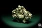 Preview: Pyrite XX (20242) a mineral from Italy | Minerals | Global