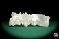 Preview: Gypsum XX (20266) a mineral from Mexico | Minerals | Global