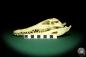 Preview: Crocodylus niloticus (20414) a skeleton from Madagascar | Taxidermy | Skeletons