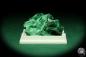 Preview: Malachite XX (20436) a thumbnail from DR Congo | Minerals | Thumbnails