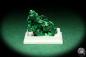 Preview: Malachite XX (20464) a thumbnail from DR Congo | Minerals | Thumbnails