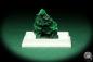 Preview: Malachite XX (20476) a thumbnail from DR Congo | Minerals | Thumbnails