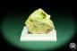 Preview: Wavellite XX & Variscite XX (20545) a thumbnail from Spain | Minerals | Thumbnails