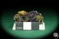 Preview: Azurite & Malachite XX (20549) a thumbnail from Morocco | Minerals | Thumbnails