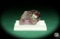 Preview: Amethyst (20558) a thumbnail from Namibia | Minerals | Thumbnails